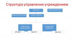 Структура управления организацией